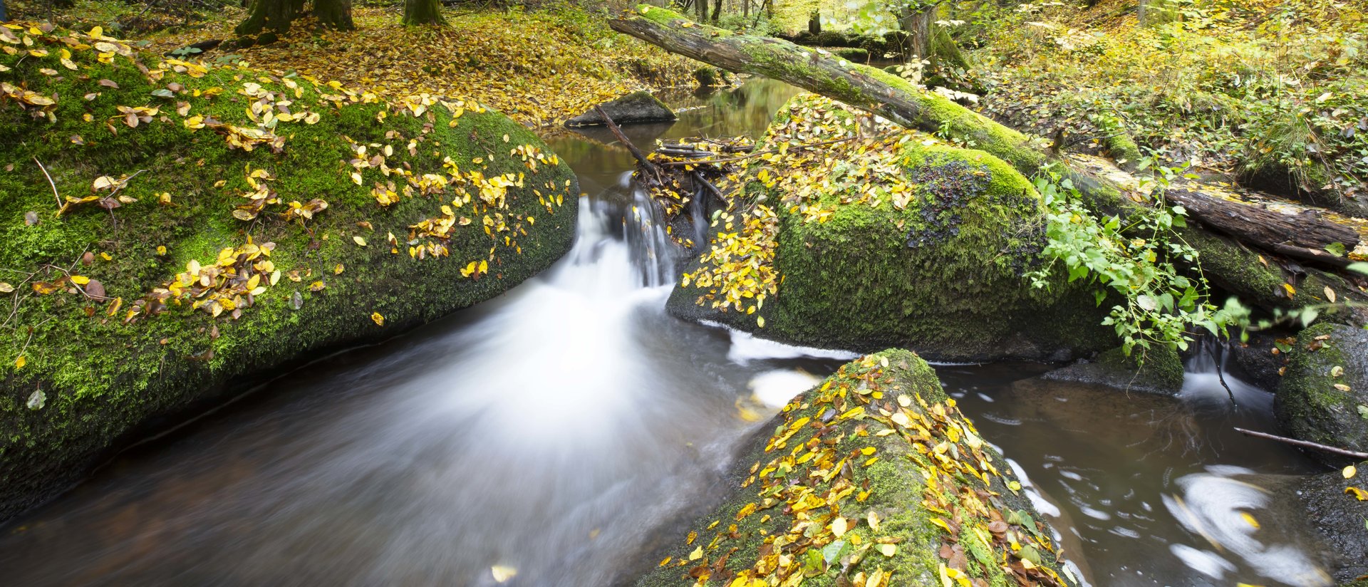 Otterbachtal