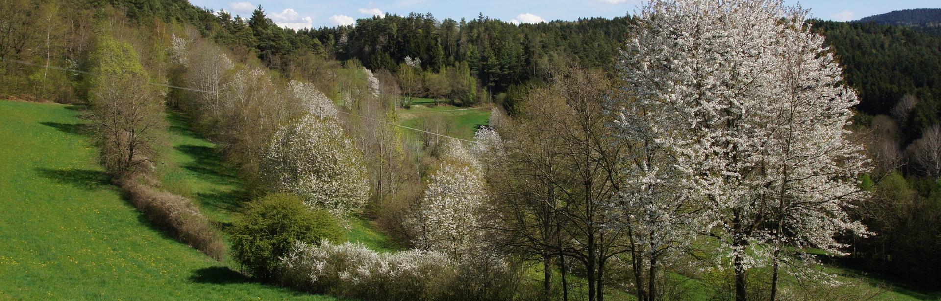 Eismannsberg