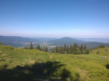 Ausblick von der Osserweise in den Lamer Winkel