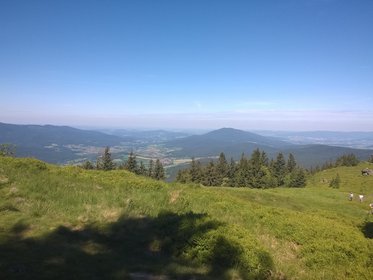 Ausblick von der Osserweise in den Lamer Winkel