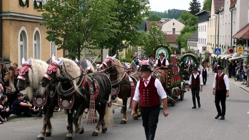Prächtig geschmückte Pferdegespanne beim Festzug zur Volksfest-Eröffnung in Bad Kötzting