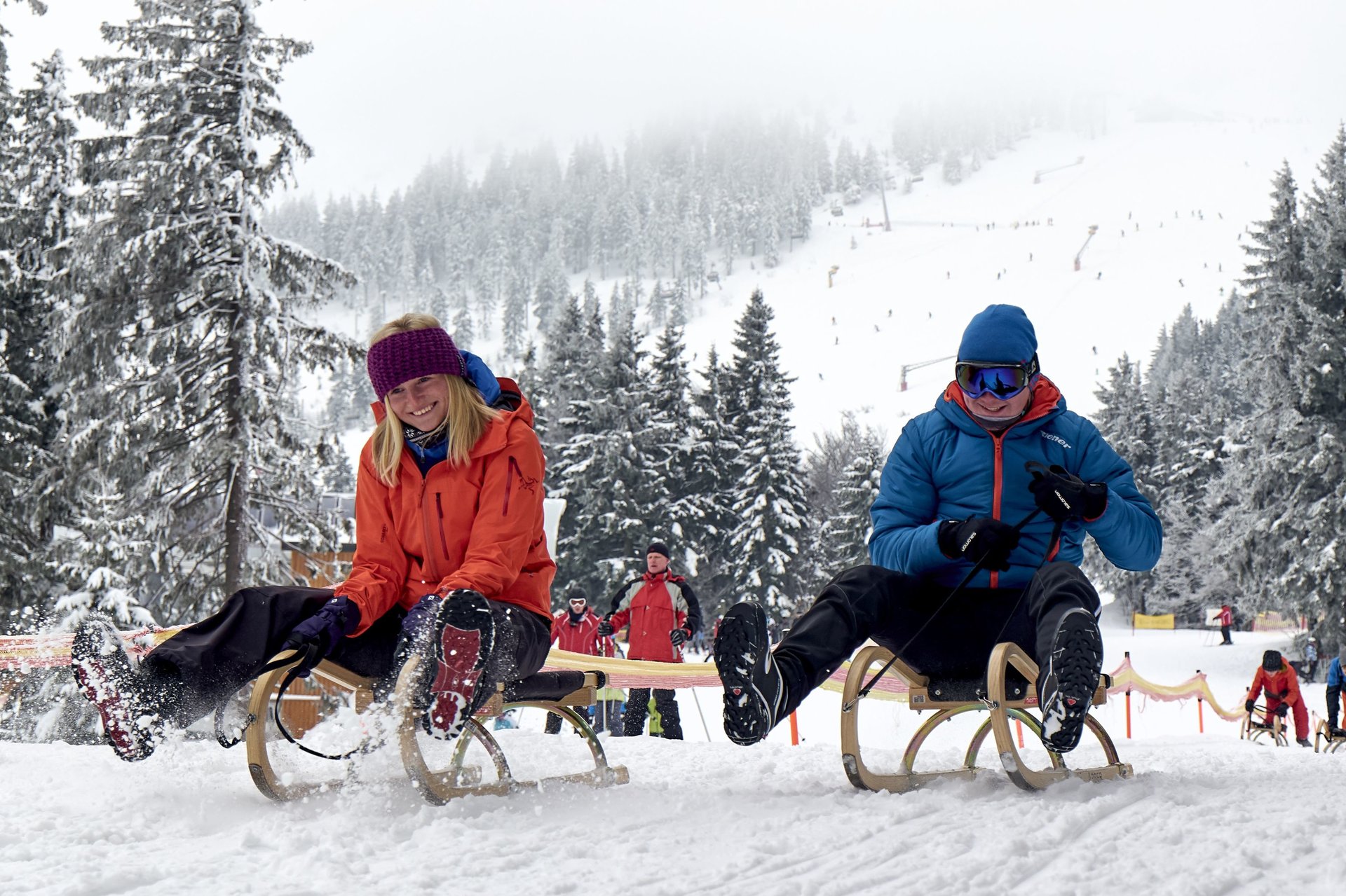 Schlitten und Rodel für Erwachsene und Kinder im Winter