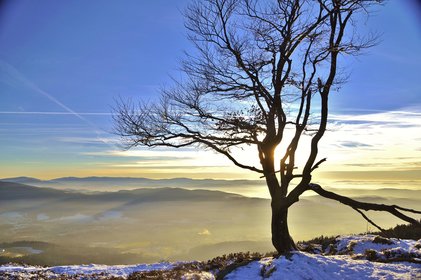 Blick über die leicht verschneite Landschaft hinab ins nebelige Tal, rechts im Bild ist ein blätterloser Baum und am Horizont geht die Sonne auf