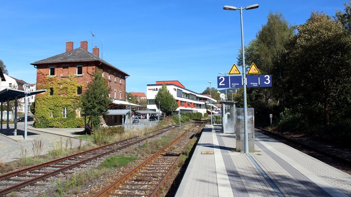 Blick auf die Gleise und das bewachsene Bahnhofsgebäude