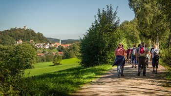 Wandergruppe auf dem Weg nach Falkenstein