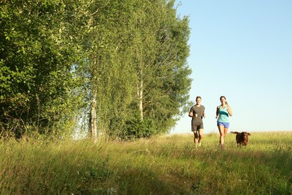 Paar mit Hund joggend in der Wiese