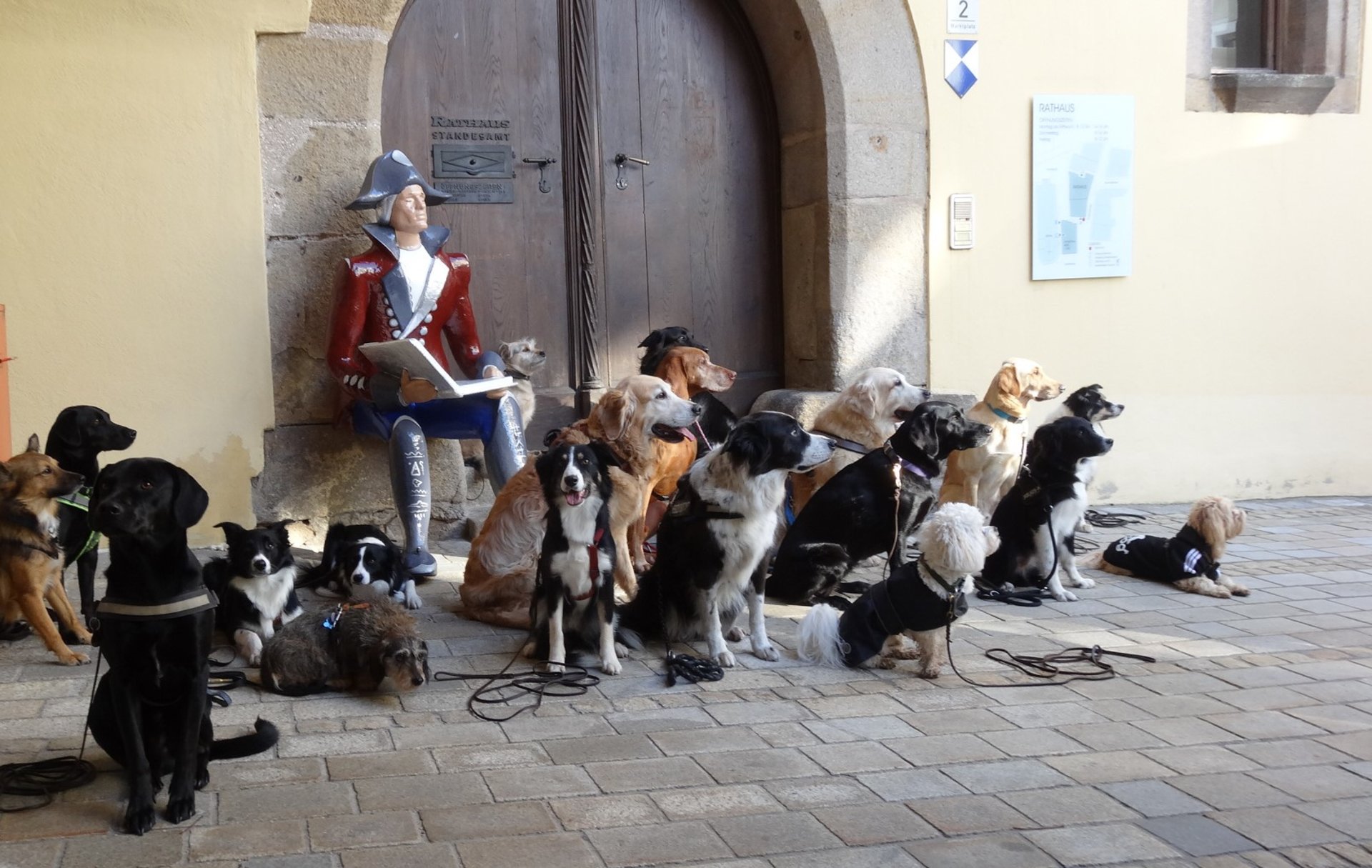 Hundespaziergänge