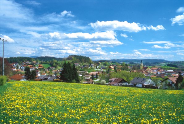 Blick auf Blaibach über eine bunte Wiese mit Löwenzahn