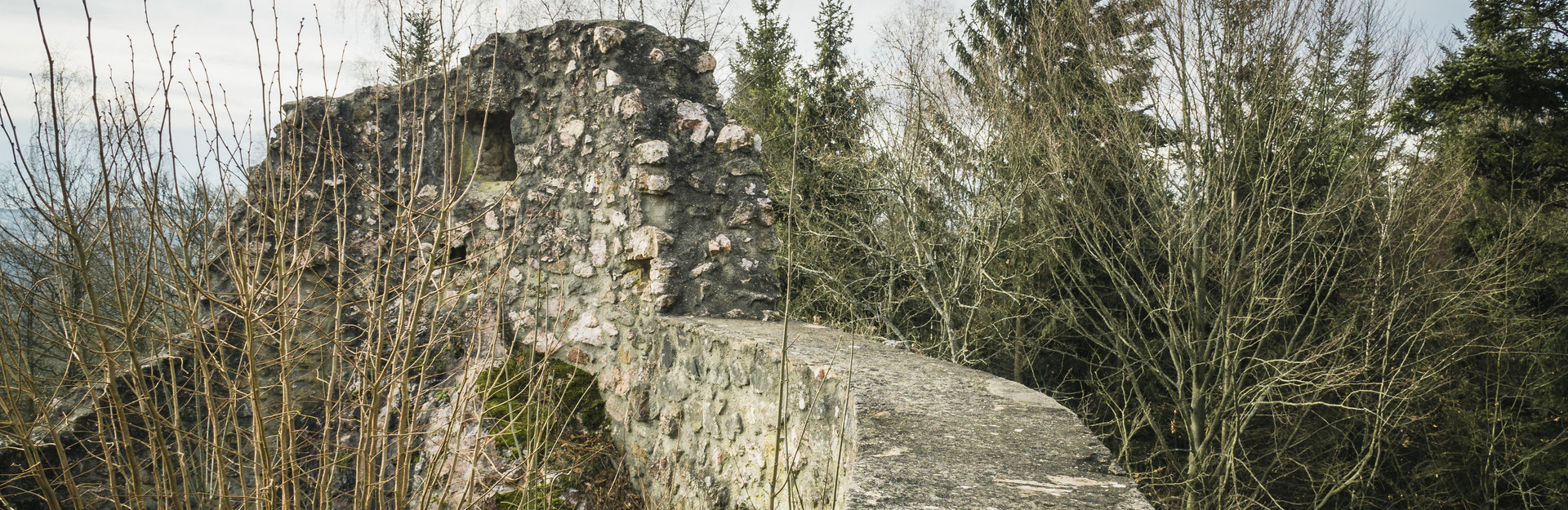 Pfahl-Ruine Schwärzenberg