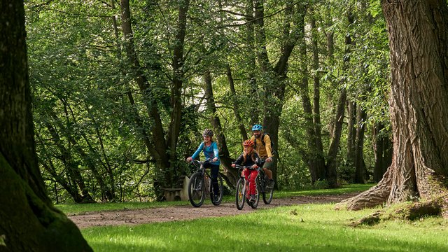 Radtour mit der Familie durch den Wald