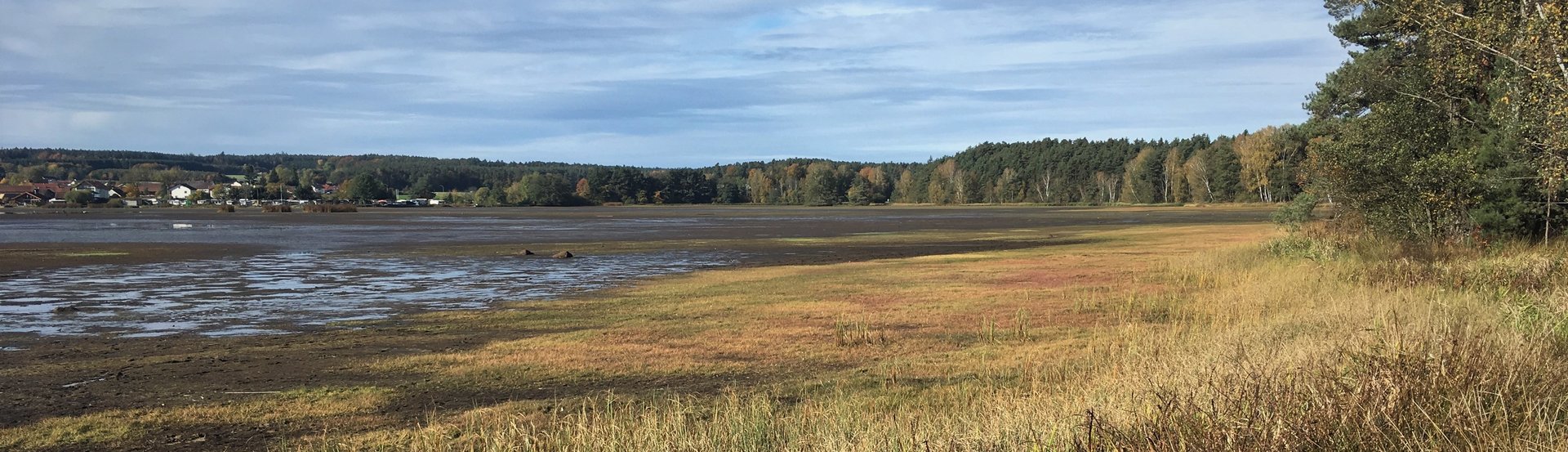 Neubäuer Weiher