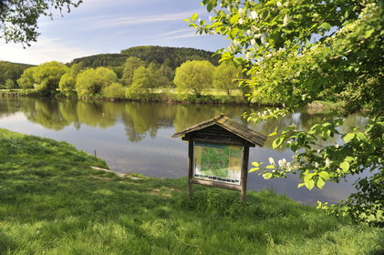 Blick auf die grüne Landschaft und den Fluss