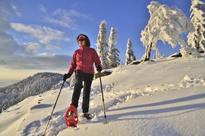Blick auf eine Frau mit Schneeschuhen in einer Winterlandschaft, im Hintergrund sieht man die Kötztinger Hütte