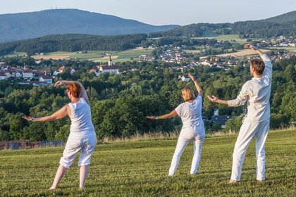 Tachi bei der Wallfahrtskirche Weißenregen mit Blick auf Bad Kötzting