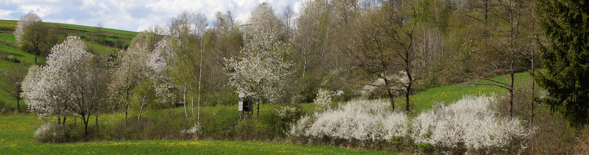 Förderungen