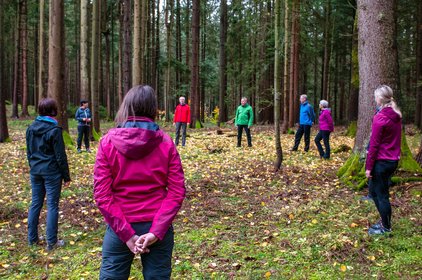 Gruppe beim Waldbaden